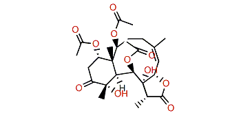 Minabein 9